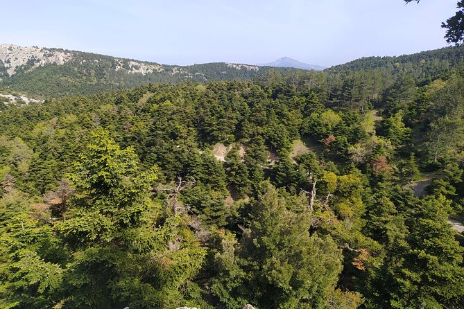 1 Day Parnitha Athens Private Hiking Tour with Hotel Pickup - Key things I’d bet on before you book
