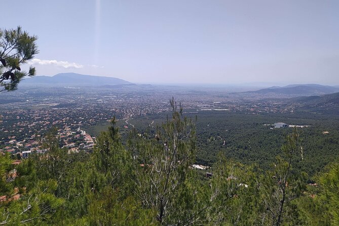 1 Day Parnitha Athens Private Hiking Tour with Hotel Pickup - Wildlife moments: red deer sightings are a real possibility