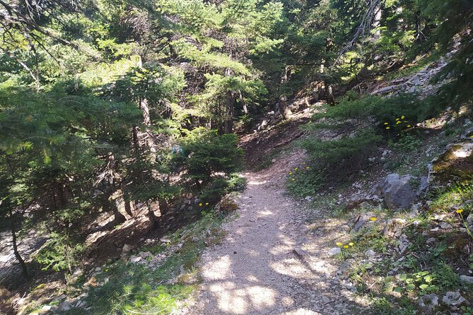 1 Day Parnitha Athens Private Hiking Tour with Hotel Pickup - Price and value: what $180.23 buys you