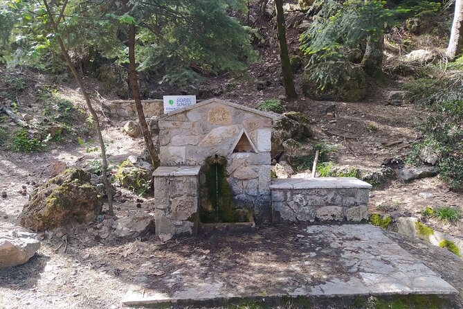 1 Day Parnitha Athens Private Hiking Tour with Hotel Pickup - Skipiza watchtower: where the views do the heavy lifting