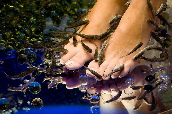 1-Hour Aroma Oil Massage plus 20-Minute Free Fish Pedi - Where you go in Athens and when it’s open