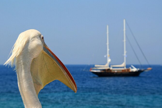 2-day Tour from Athens to Santorini and Mykonos - Rafina, ferries, and that fast island-punch plan