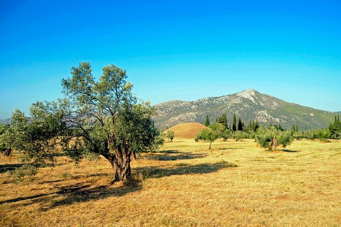2 Days Herodotus Tour - Marathon, Thermopylae, Delphi, Thebes, Plataea, Salamis - Price and value: what $694.56 covers, and what you should budget for next