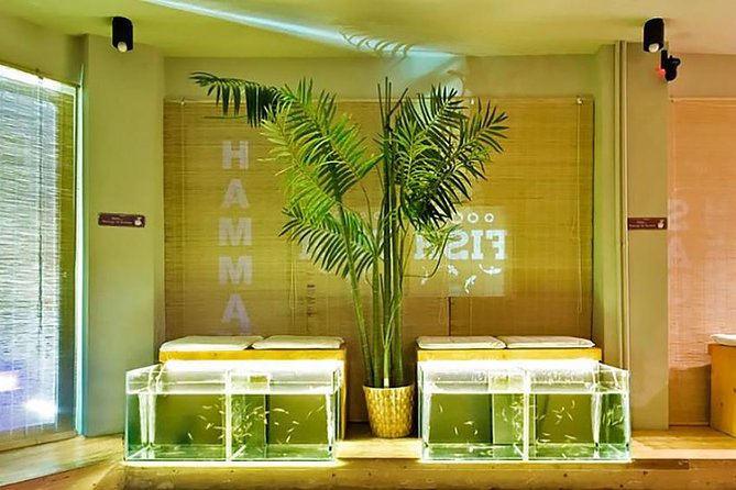 20-Minutes Natural Pedicure with Exotic Fish - Key highlights to know before you go