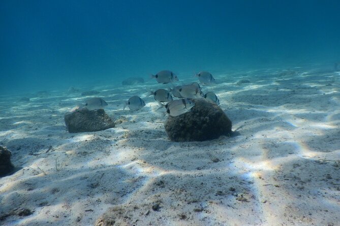 3 Hour Private Scuba Diving Experience - What makes it feel like value, not a rush