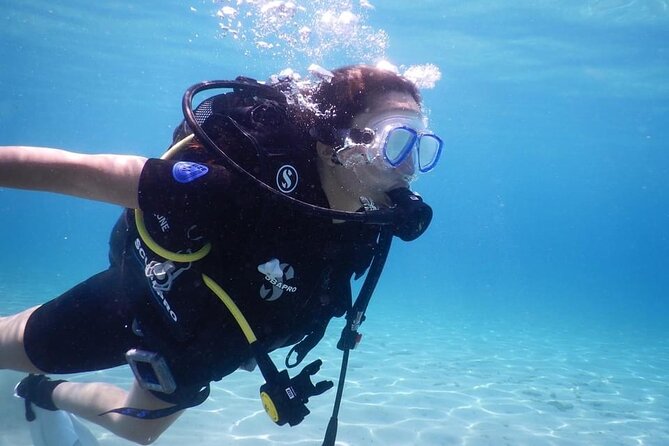 3 Hour Private Scuba Diving Experience - Price and Logistics: The One Extra Cost to Plan For