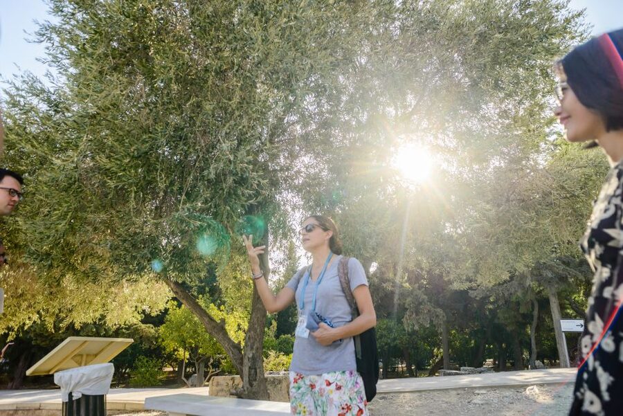 Acropolis: Premium Acropolis and Parthenon Guided Tour - Getting to Porinou 5: the meeting point that helps you win time