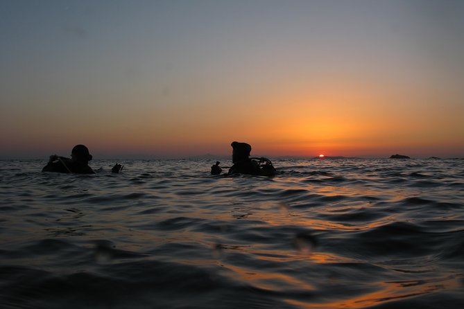 Adventure Dives for Certified Divers in Nea Makri, Athens - Key highlights at a glance