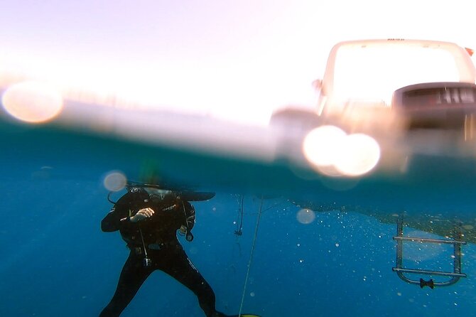 Adventure Dives for Certified Divers in Nea Makri, Athens - Platourada Island, Dipsa Island, and Marathon Cape: the underwater menu