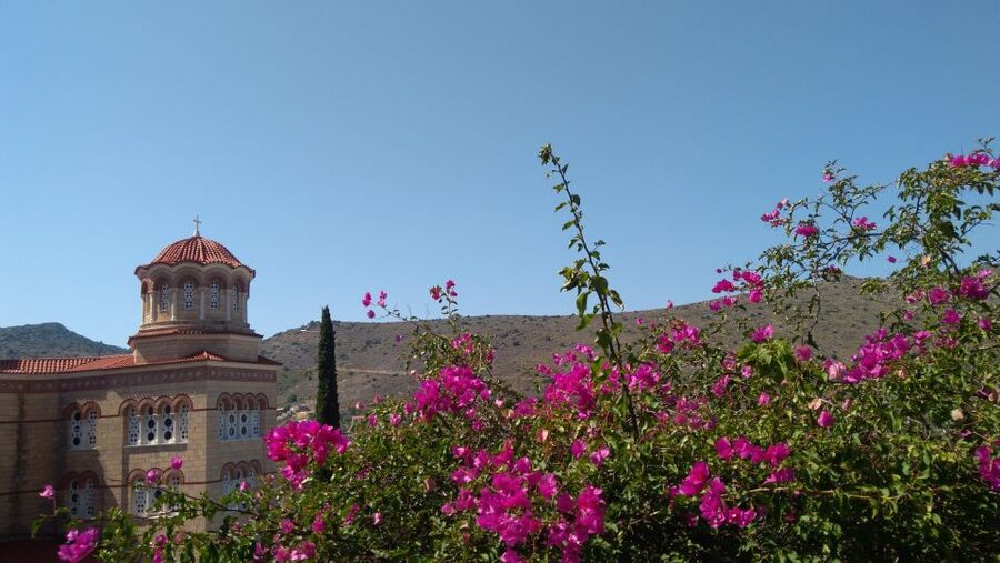 Aegina Island & Temple of Athina Aphaia Private Day Tour - What to Bring (and What to Avoid) for a Smooth Aegina Day