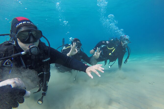Anavyssos Athens Riviera: Beginners' Guided Try Scuba Diving - Small Marine Life Moments Off the Anavysos Coast