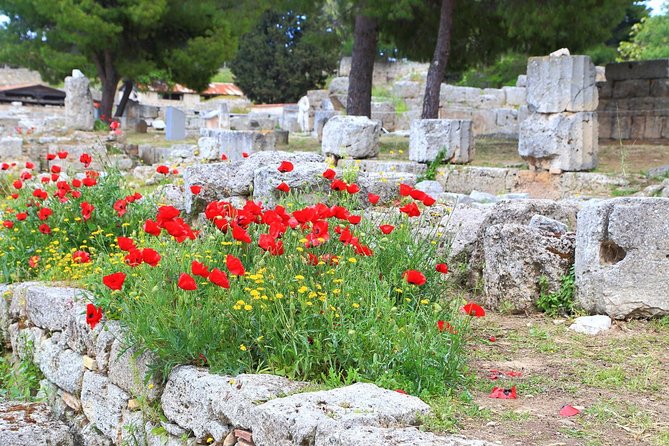 Ancient Corinth & Nafplion One-Day Tour from Athens - From Athens pickup to the Peloponnese: the drive you actually learn from