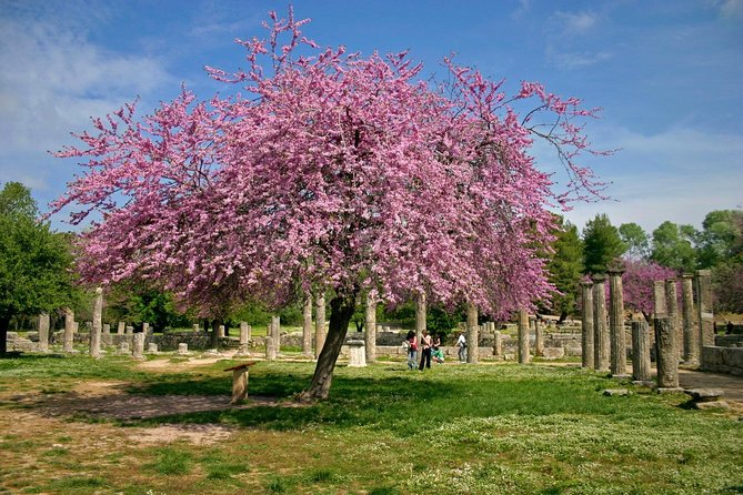 Ancient Olympia/ Ancient Corinth private tour from Athens/ Nafplio (up 12 hours) - Corinth Museum in 30 Minutes: Prehistoric to Byzantine Finds