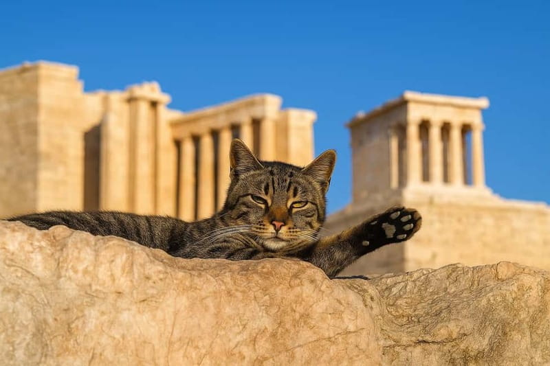 Athens: Acropolis Guided Tour with Skip-The-Line Tickets - Key Takeaways Before You Go