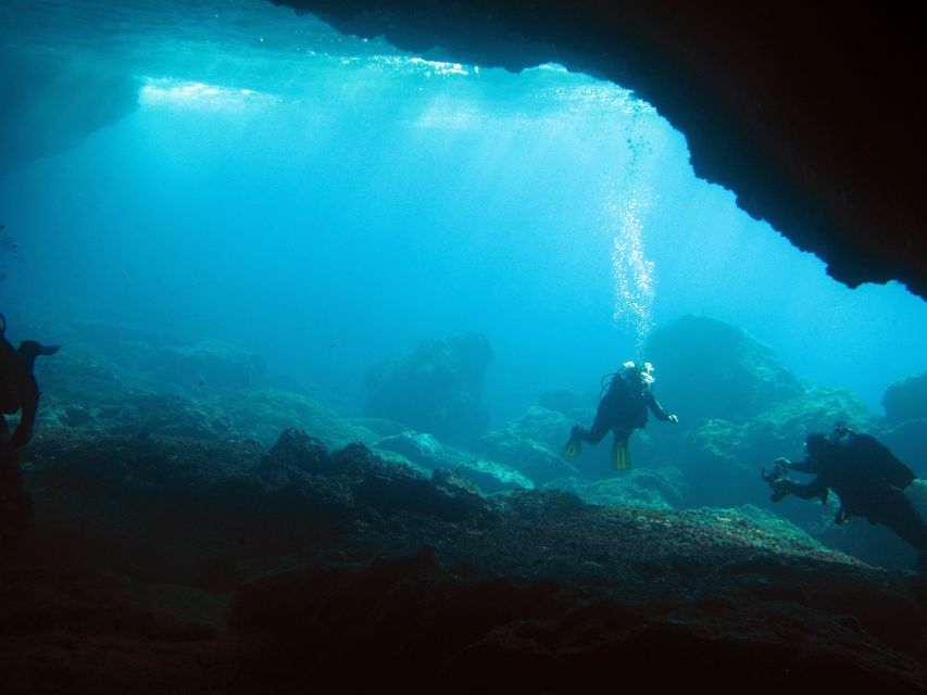 Athens: Adventure Dives in Nea Makri for Certified Divers - The Underwater Menu: Wrecks, Walls, Caverns, and Slopes