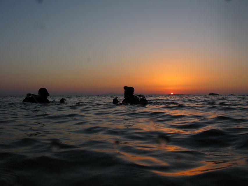 Athens: Adventure Dives in Nea Makri for Certified Divers - The Pace and the Break: A 1.5-Hour Surface Interval That Actually Helps