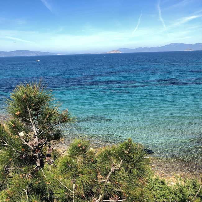 Athens: Aegina Island Small Group Premium Guided Tour - Agia Marina Beach Swim: When Relaxation Actually Gets Time