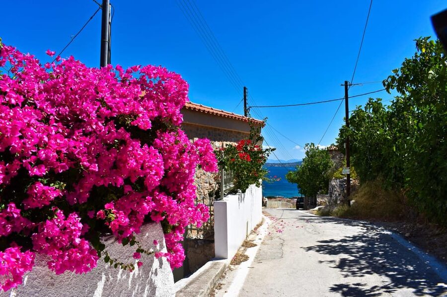 Athens: Agistri, Metopi & Aegina Cruise with Meals & Drinks - Key highlights worth your attention