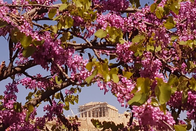 Athens Airport to Nafplio Private Transfer - Where the Drive Starts: Athens Airport Meet-and-Greet That Actually Helps