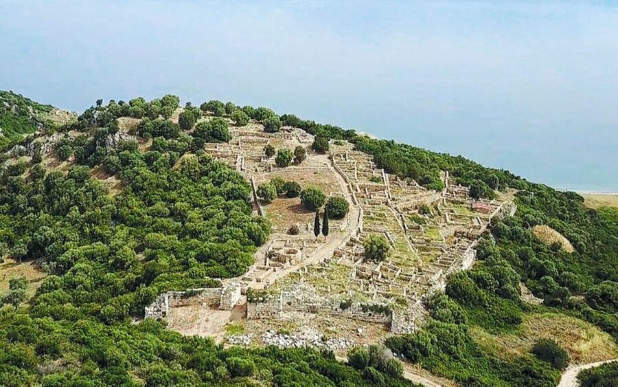 Athens Battlefield Adventure: Marathon, Thermopylae, Plataea - Private driver versus licensed guide: how to get the right amount of story