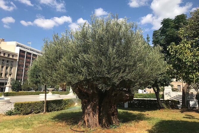 Athens by E-Bike: Monuments, Food & Transfers (Cruise Tour) - How much effort you should expect (and what to wear)