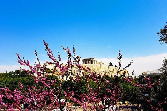 Athens city private tour - How the tour keeps you on time without killing the fun