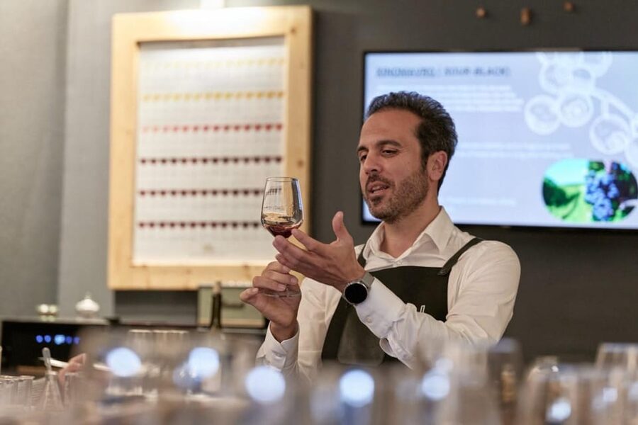 Athens: Create Your Own Wine-Workshop under the Acropolis - Who this wine workshop suits best (and who should skip it)