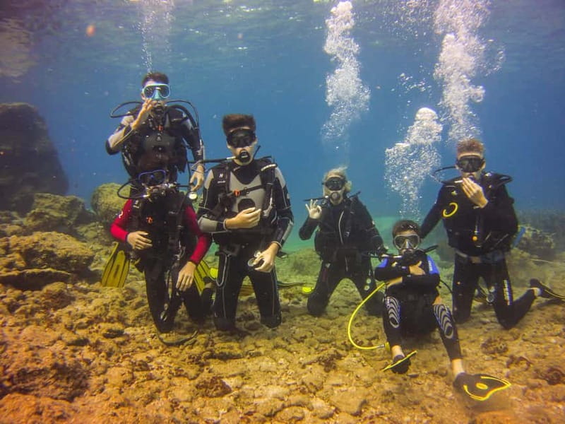 Athens: Discover Scuba Diving Experience for Beginners - Your pre-trip setup: medical eLearning and basic theory