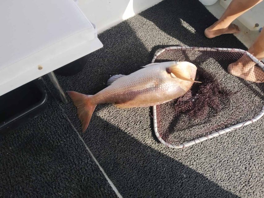 Athens: Fishing Trip Experience on a Boat with Seafood Meal - Captain Nektarios (Nick) and the first mate: where the learning clicks