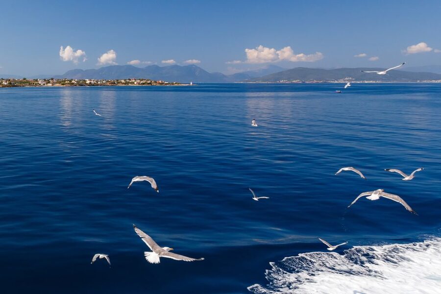 Athens: Guided Day Trip to Aegina Island with Swimming - Guides you might meet: the human factor that changes everything