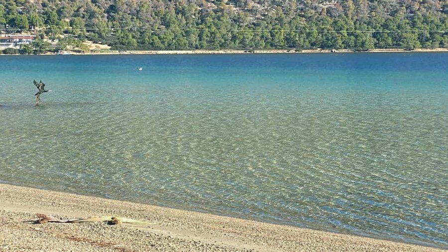 Athens: Lake Vouliagmeni Corinthia, Heraion Sunset & Swim - Getting to Halandri and riding out on an air-conditioned coach