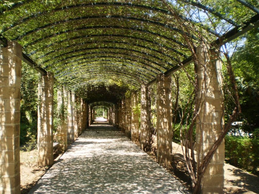 Athens: National Garden 2-Hour Segway Tour - Key Things to Know Before You Go