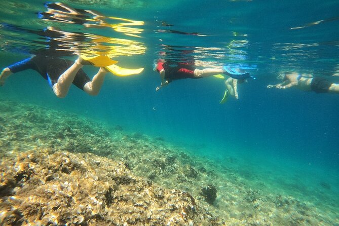 Athens, Nea Makri: Guided Small Group Snorkeling Boat Excursion - What you’ll see under the surface (and what you might not)