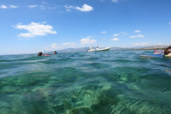Athens, Nea Makri: Guided Small Group Snorkeling Boat Excursion - Meet point and getting there: Kanelakis Diving Experiences in Nea Makri