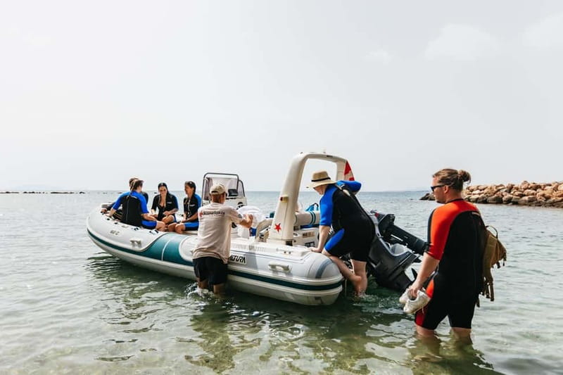 Athens, Nea Makri: Guided Small Group Snorkeling Boat Trip - Who this trip is best for (and who should look elsewhere)