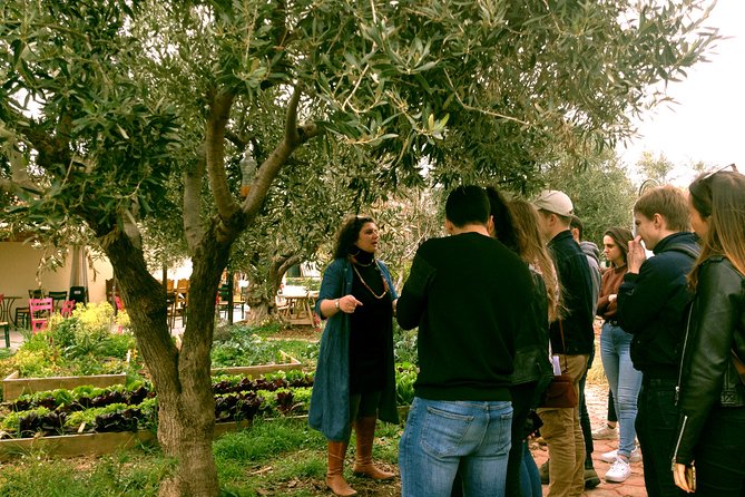 ATHENS OLIVE ESTATE - Olive Oil Workshop with Farm-to-Fork Lunch - Price and value: what you’re paying for at $568.31 per person