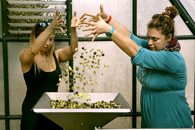 ATHENS OLIVE ESTATE - Olive Oil Workshop with Farm-to-Fork Lunch - Comfort and pacing: private tour benefits that actually matter