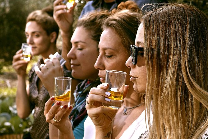 ATHENS OLIVE ESTATE - Olive Oil Workshop with Farm-to-Fork Lunch - Who this olive estate tour suits best