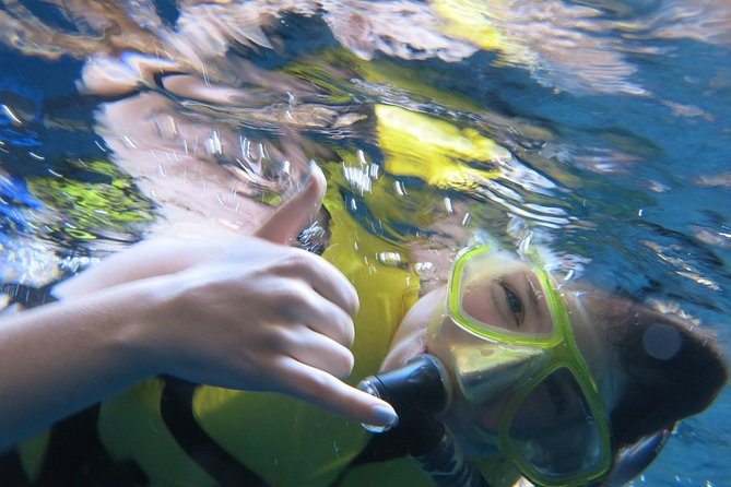 Athens Private Snorkeling and Swimming Cruise with pick up - Key things worth knowing before you book
