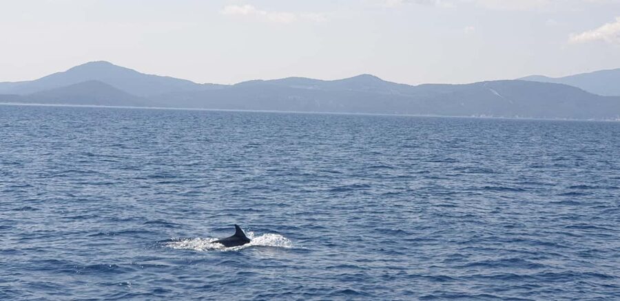 Athens Riviera Private Catamaran Cruise with Meal and Drinks - Vouliagmeni/Asteras Bay swim stop: where your water time actually happens