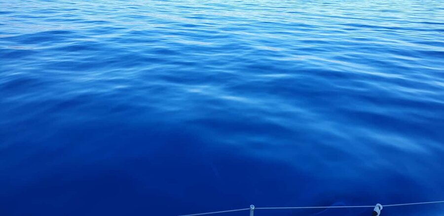 Athens Riviera Private Catamaran Cruise with Meal and Drinks - Food and drinks: what’s included, and how to plan for it