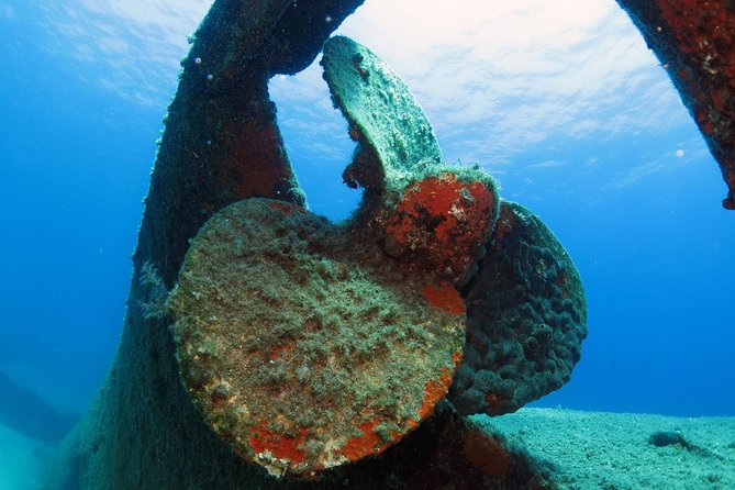 Athens Scuba Diving Experience for Certified Divers with Pickup - What You’ll Be Doing Near Vouliagmeni (And Why It’s a Smart Athens Pick)