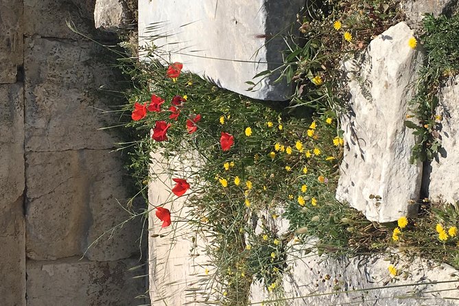 Athens Shore Excursion: Private City Sightseeing and Acropolis Tour - Panathenaic Stadium: the quick stop that feels surprisingly special