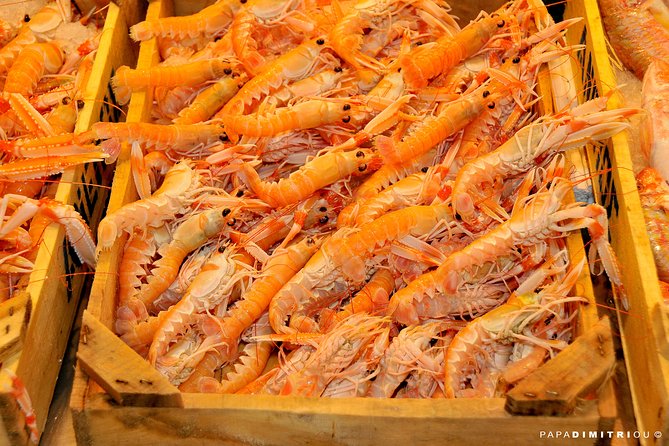 Athens Shore Excursion: Small-Group Food Tour - What 4 hours actually feels like: walking, snacking, and timing