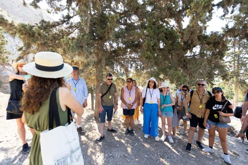 Athens: Sightseeing & Acropolis with Entry Tickets Included - Timing, meeting point, and what to bring for comfort