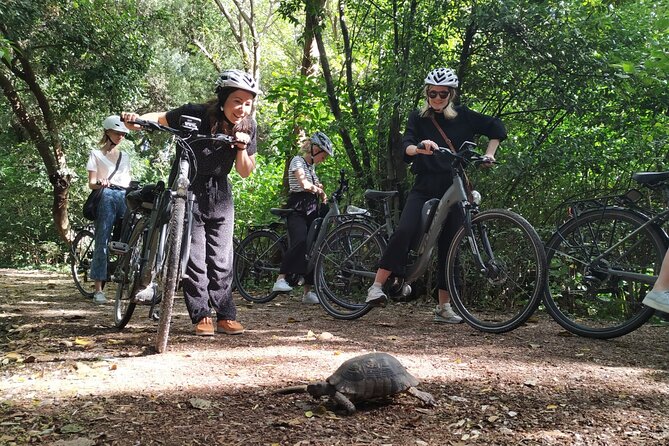 Athens Small Group E-Bike Tour - The most useful part: you’ll leave with a photo map and a plan