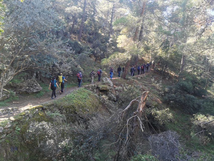 Athens Sunset Hike - Wildlife and stories: why the guide changes the whole walk