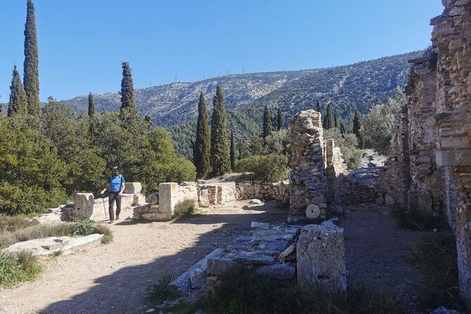 Athens Sunset Hymettus Mountain Hike - Price and value: what $47.66 buys you (and what it doesn’t)