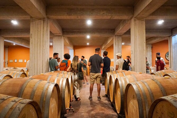 Athens to Nemea Wine Experience Tour - Stop 1: Koutsi winery cellar tour and the 6-wine tasting