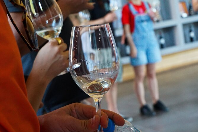 Athens to Nemea Wine Experience Tour - Who this Athens to Nemea tour is for (and who it’s not)